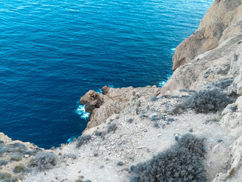 High angle view of rocks on beach