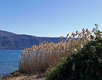 Scenic view of sea and mountains against clear blue sky
