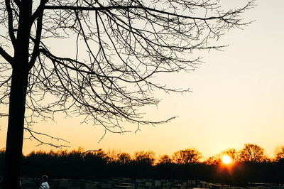 Silhouette bare trees against sky during sunset