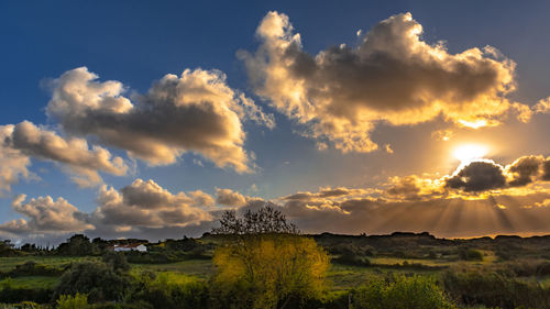 Scenic view of field against sky during sunset