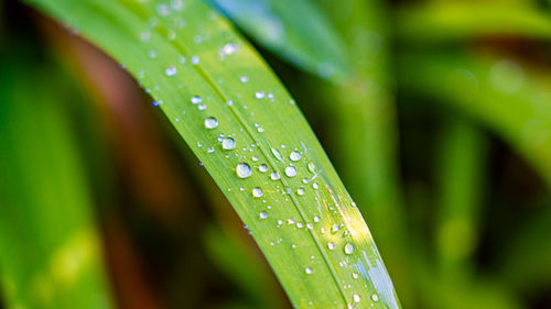 water
