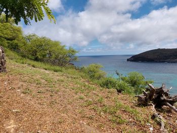 Scenic view of sea against sky