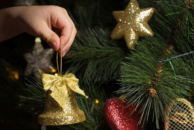 Close-up of hand holding christmas tree