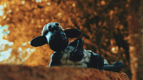 Close-up of statue against blurred background