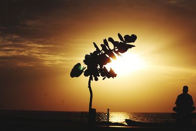 Silhouette of beach during sunset