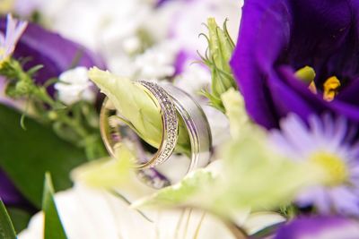 Close-up of purple flower bouquet