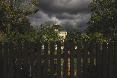 Panoramic view of trees and plants against sky