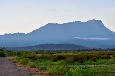 Scenic view of field and mountains against sky