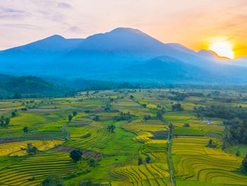 landscape