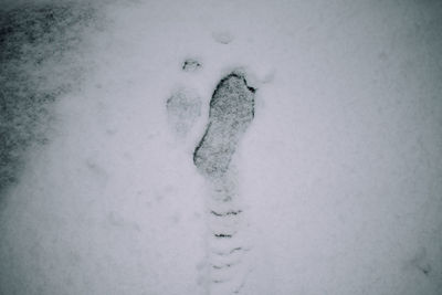 High angle view of footprints on snow field