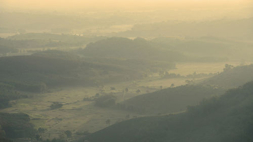 Mountain slope in low lying cloud with evergreen conifers shrouded in a scenic landscape view