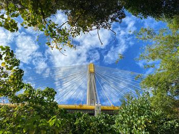 Low angle view of cable stayed bridge framed by branches of tree against blue cloud sky