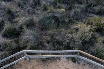 High angle view of steps