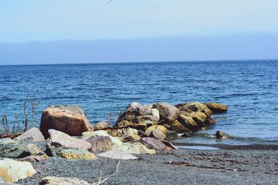 Scenic view of rocks on beach against sky