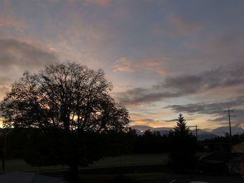 Silhouette trees on field against sky at sunset