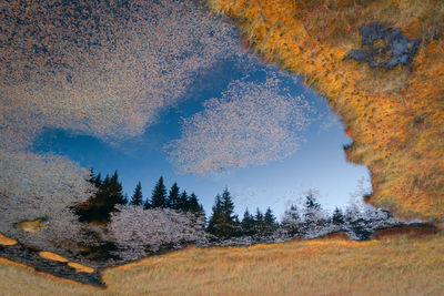 Scenic view of trees against sky during autumn