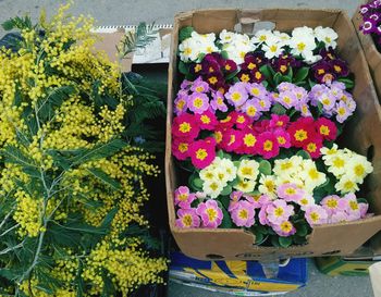 Flower pots for sale at market stall