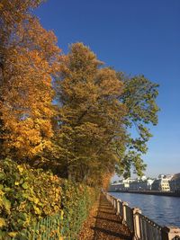 Tree by river against sky during autumn