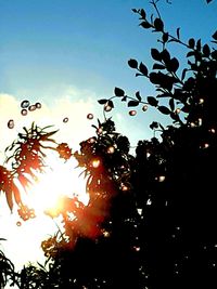 Low angle view of silhouette trees against sky