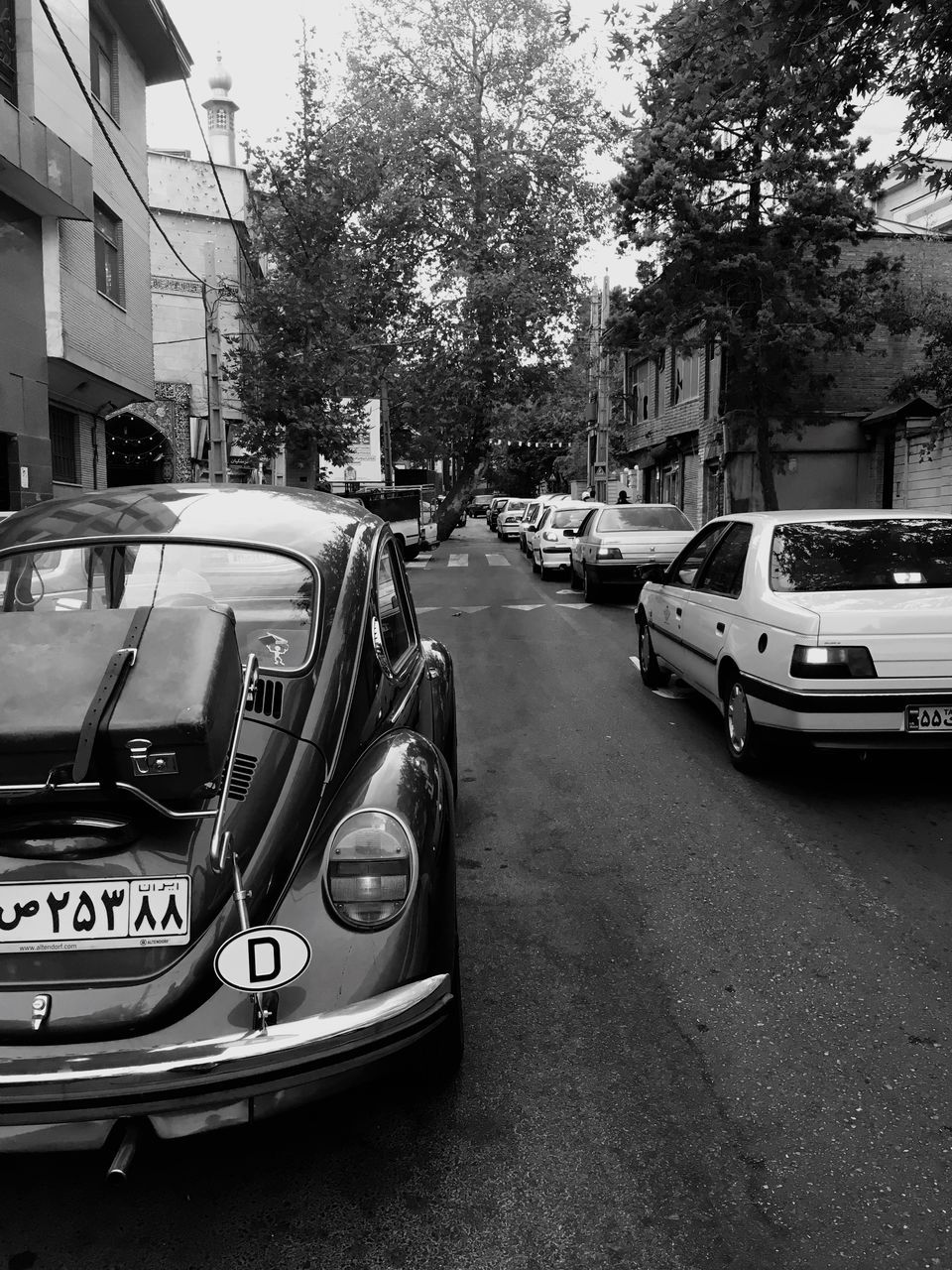 transportation, car, mode of transport, land vehicle, street, tree, building exterior, outdoors, built structure, no people, city, day, architecture, close-up, sky, vehicle mirror, police car