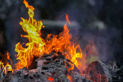 Close-up of bonfire on wood