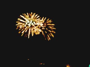 Close-up of illuminated fireworks against sky at night