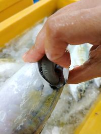 Close-up of hand holding ice cream