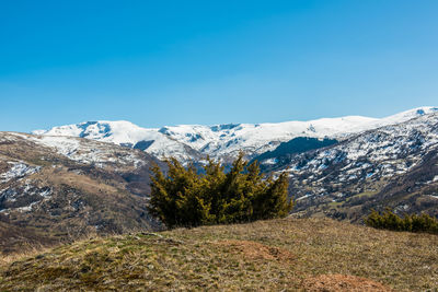 Scenic view of snowcapped mountains against clear blue sky