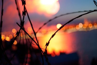 Close-up of razor wire against sky during sunset