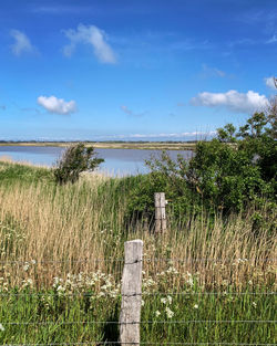 Wooden fence on field against sky