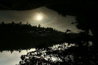Reflection of trees in lake