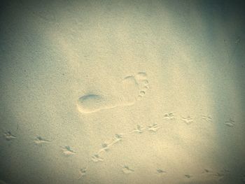 High angle view of footprints on sand at beach