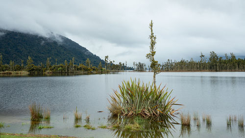 Scenic view of lake by trees against sky