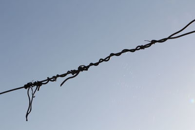 Close-up of barbed wire against clear sky