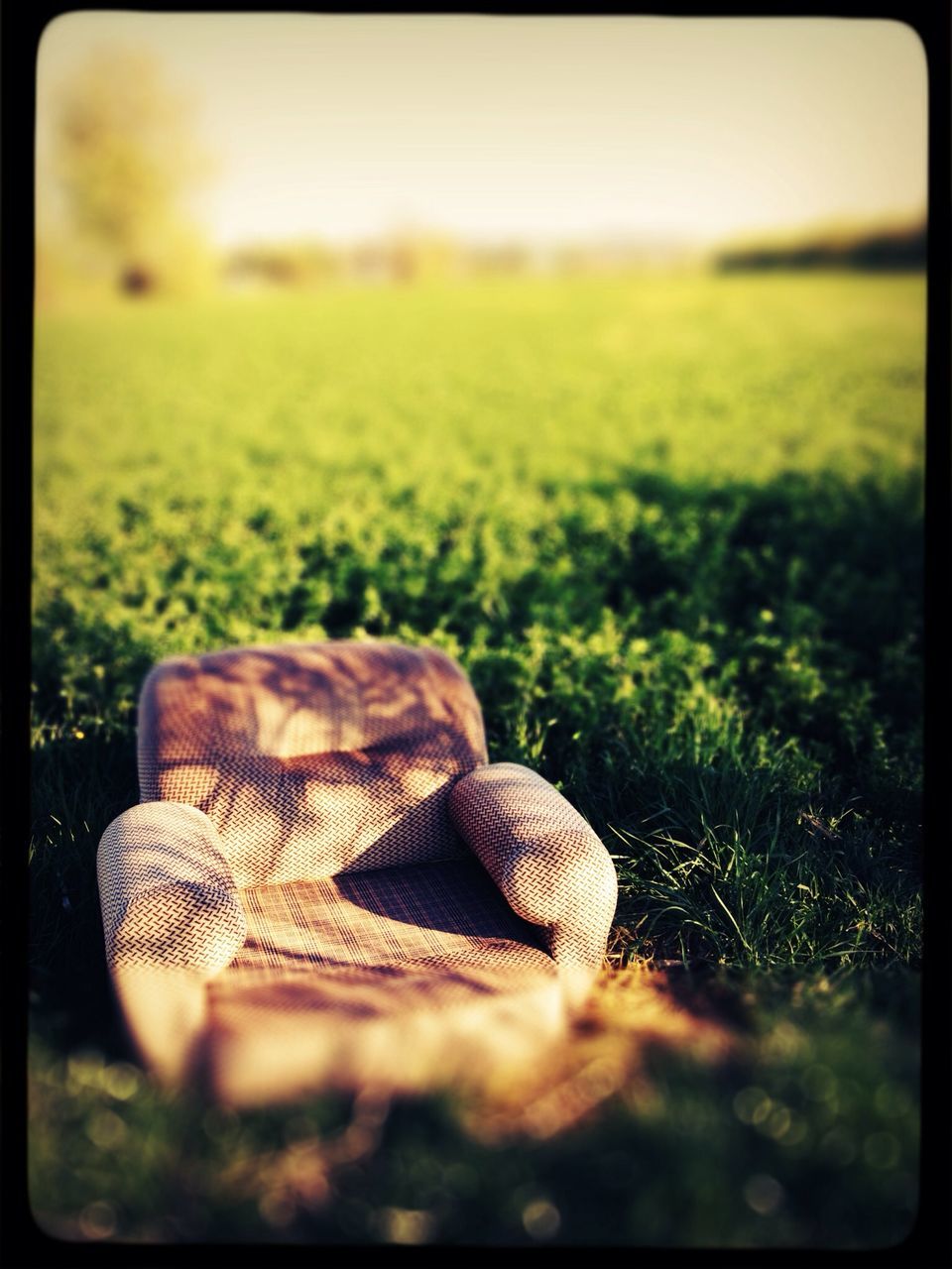 grass, field, focus on foreground, grassy, transfer print, close-up, landscape, selective focus, auto post production filter, nature, green color, growth, rural scene, tranquility, outdoors, agriculture, beauty in nature, day, no people, farm