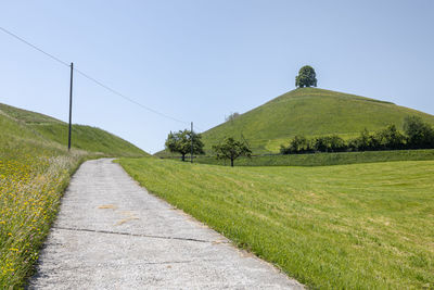 Road amidst field against clear sky