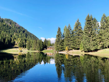 Scenic view of lake by trees against blue sky