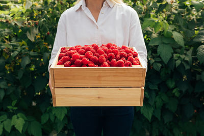 Midsection of woman holding fruits