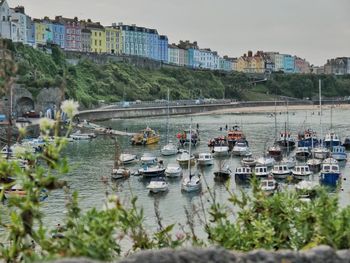 View of boats moored in harbor