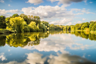 Reflection of trees in lake against sky