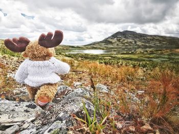 Stuffed toy on field against sky during winter