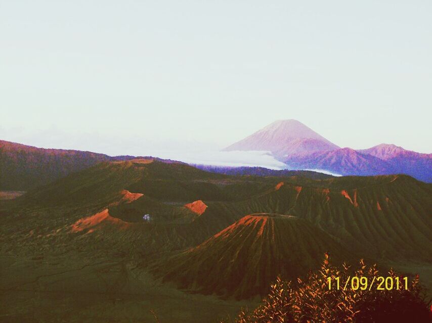 mountain, clear sky, mountain range, copy space, scenics, landscape, tranquil scene, tranquility, beauty in nature, nature, animal themes, non-urban scene, no people, idyllic, day, outdoors, remote, sky, tree