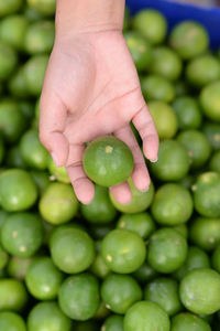 Close-up of hand holding green beans