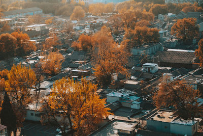 Aerial view of trees and buildings in city