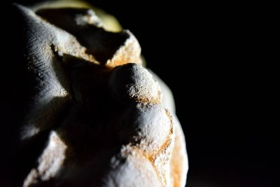 Close-up of black background