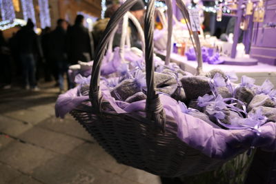 Close-up of purple flowering plant in basket