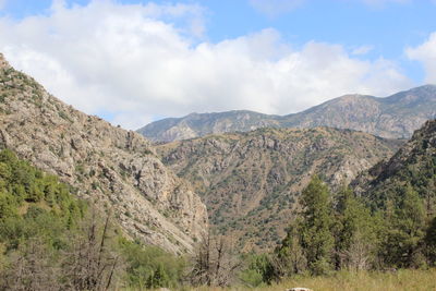 mountain
