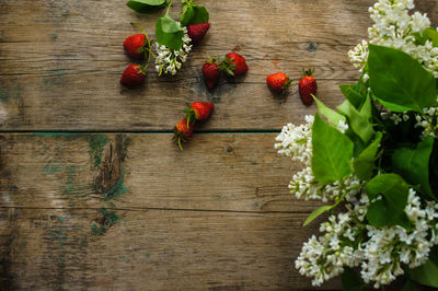 High angle view of red flowers on table