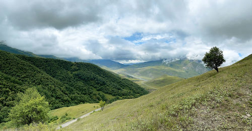 Beautiful landscape in the caucasus mountains, view of the valley and a lonely tree