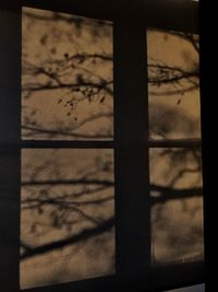 Close-up of closed shadow